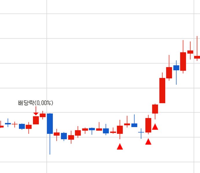 지표 적용 차트 예시